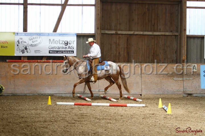28-ApHC OT_172.jpg